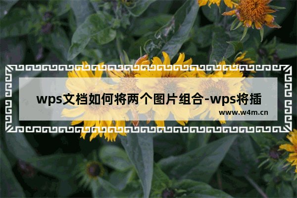 wps文档如何将两个图片组合-wps将插入的两张图片组合在一起的方法