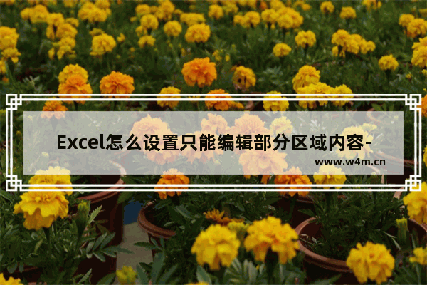 Excel怎么设置只能编辑部分区域内容-WPS Excel设置只允许编辑指定区域的方法