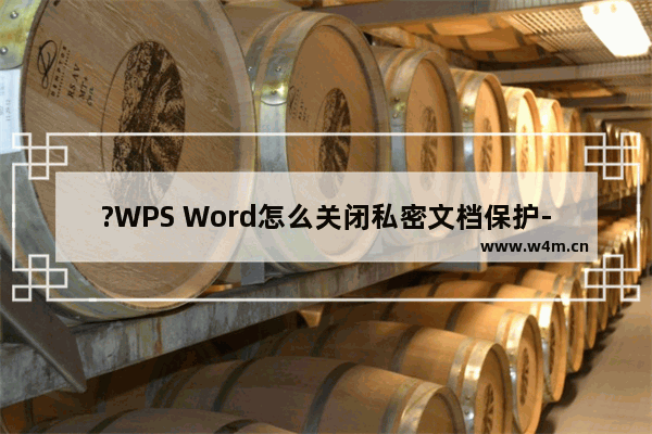 ?WPS Word怎么关闭私密文档保护-WPS文档取消私密文档保护的方法教程