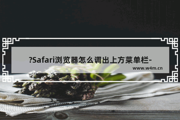 ?Safari浏览器怎么调出上方菜单栏-Safari浏览器电脑版设置显示左上方菜单栏的方法教程