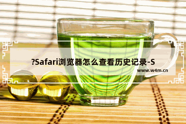 ?Safari浏览器怎么查看历史记录-Safari浏览器电脑版查看历史记录的方法教程