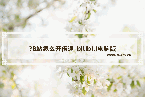 ?B站怎么开倍速-bilibili电脑版中调倍速播放的方法教程