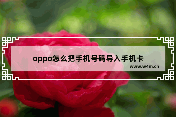 oppo怎么把手机号码导入手机卡