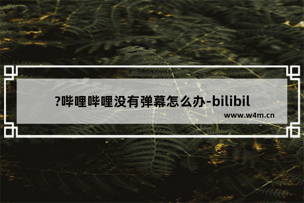 ?哔哩哔哩没有弹幕怎么办-bilibili电脑版中进行弹幕设置的方法教程