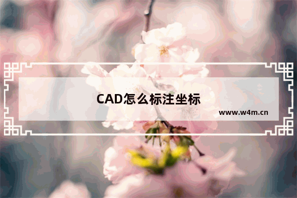 CAD怎么标注坐标