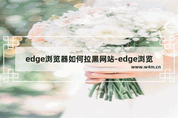 edge浏览器如何拉黑网站-edge浏览器把不安全的网页加入黑名单的方法