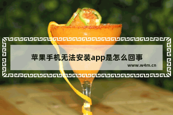 苹果手机无法安装app是怎么回事