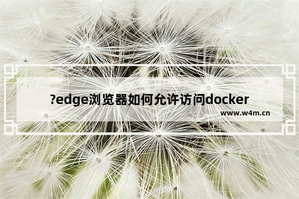 ?edge浏览器如何允许访问docker镜像-?edge浏览器允许访问docker容器的方法