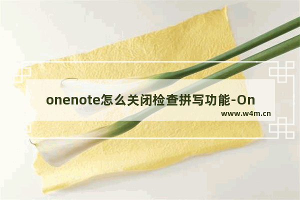 onenote怎么关闭检查拼写功能-Onenote关闭拼写检查的方法