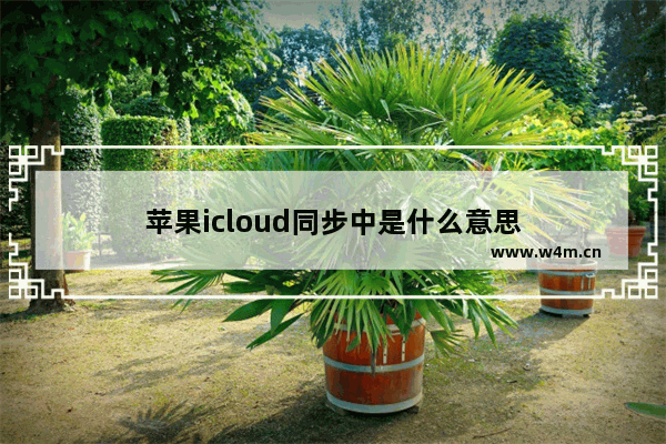 苹果icloud同步中是什么意思