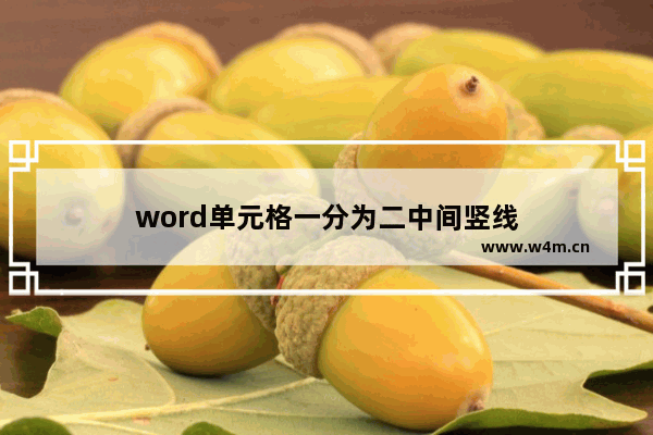 word单元格一分为二中间竖线