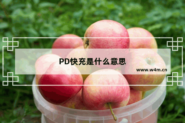 PD快充是什么意思