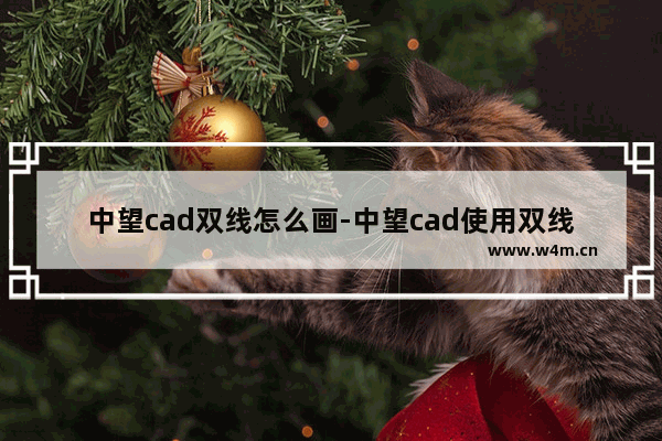 中望cad双线怎么画-中望cad使用双线命令画出两条线的方法