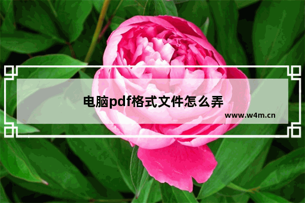 电脑pdf格式文件怎么弄