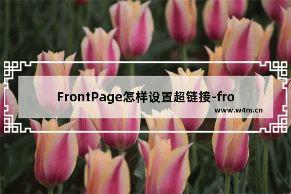 FrontPage怎样设置超链接-frontpage添加超链接的方法