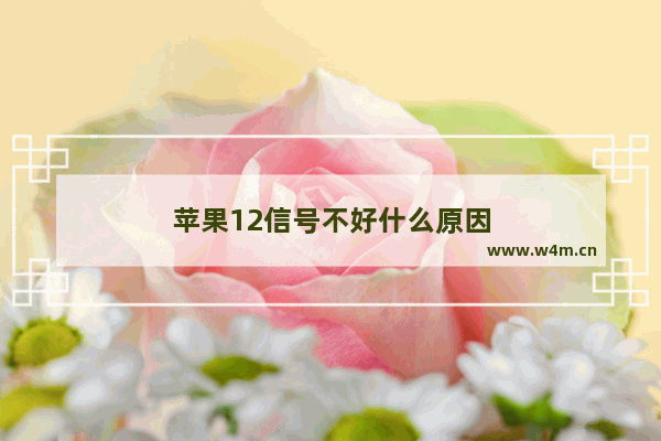 苹果12信号不好什么原因