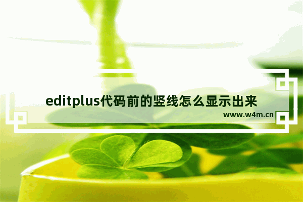 editplus代码前的竖线怎么显示出来-让editplus缩进折叠显示代码的方法