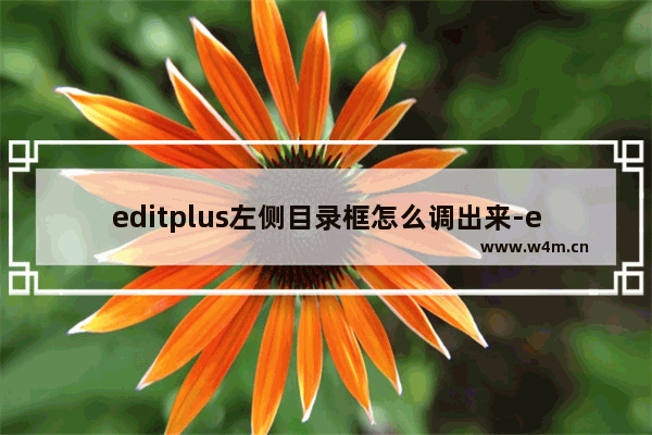 editplus左侧目录框怎么调出来-editplus左侧目录框消失不见的显示方法