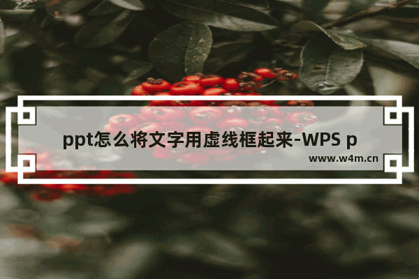 ppt怎么将文字用虚线框起来-WPS ppt用虚线框将文字框起来的方法