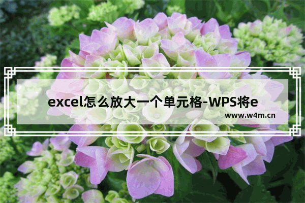 excel怎么放大一个单元格-WPS将excel表格的单元格精准变大的方法