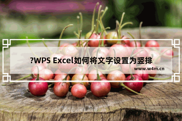 ?WPS Excel如何将文字设置为竖排显示-WPS表格中将文字竖着排列的方法教程