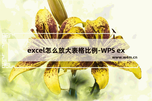 excel怎么放大表格比例-WPS excel放大表格比例的方法