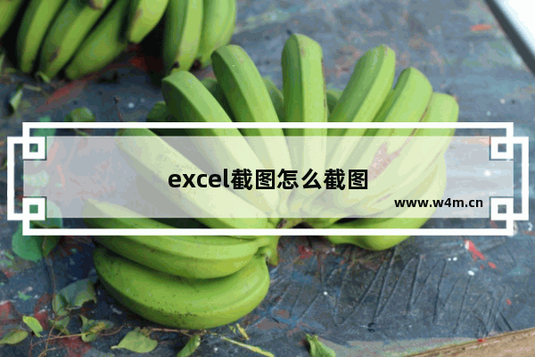 excel截图怎么截图