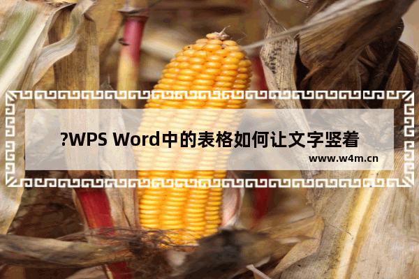 ?WPS Word中的表格如何让文字竖着-WPS文档中插入表格后设置文字竖排的方法教程