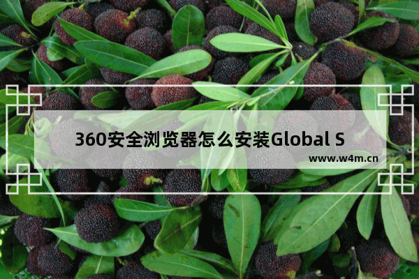 360安全浏览器怎么安装Global Speed插件-360安全浏览器安装Global Speed插件的方法