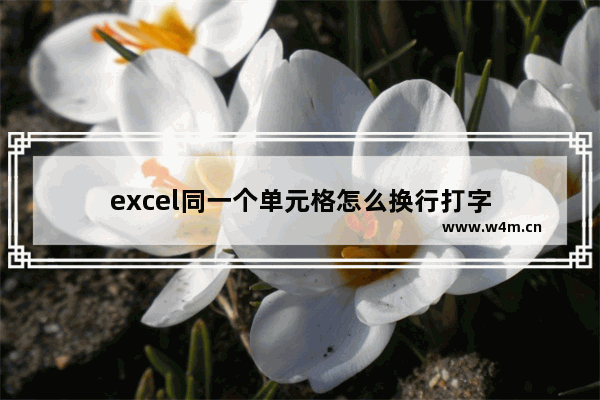 excel同一个单元格怎么换行打字