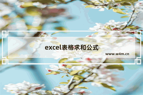 excel表格求和公式