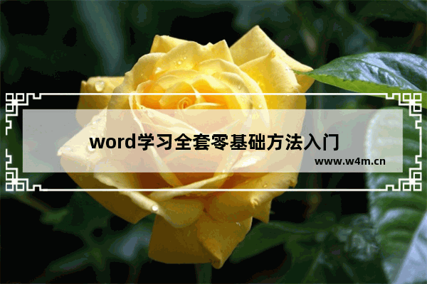 word学习全套零基础方法入门