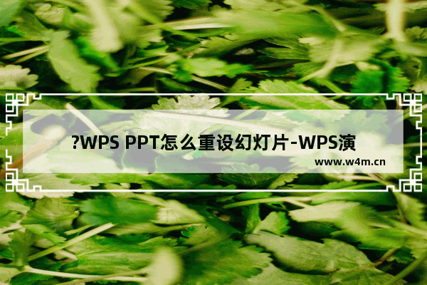 ?WPS PPT怎么重设幻灯片-WPS演示文稿中重置幻灯片的方法教程