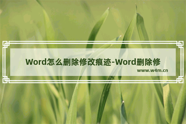 Word怎么删除修改痕迹-Word删除修改痕迹的方法