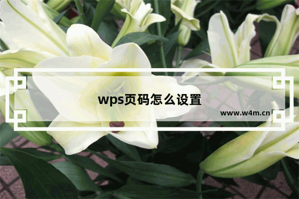 wps页码怎么设置