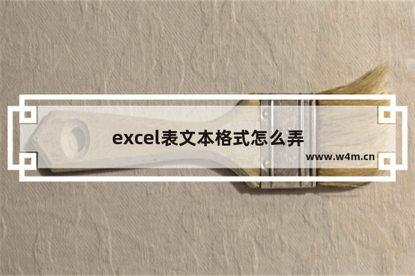 excel表文本格式怎么弄