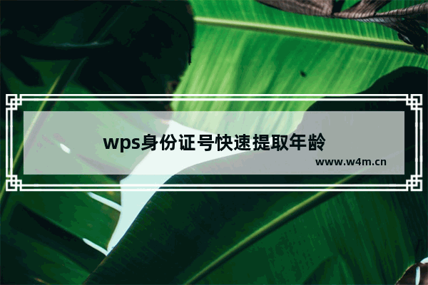 wps身份证号快速提取年龄