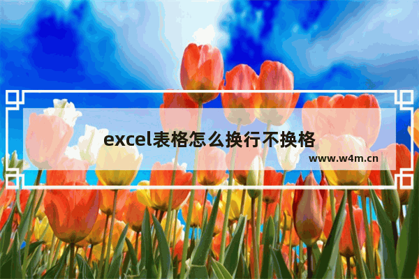 excel表格怎么换行不换格