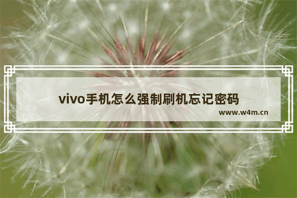 vivo手机怎么强制刷机忘记密码