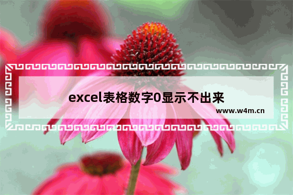 excel表格数字0显示不出来