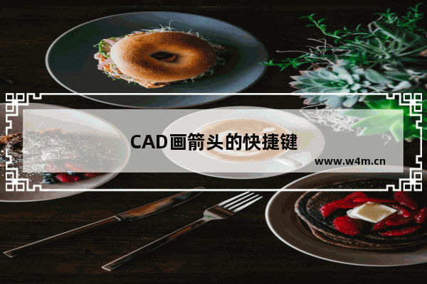 CAD画箭头的快捷键