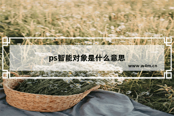 ps智能对象是什么意思