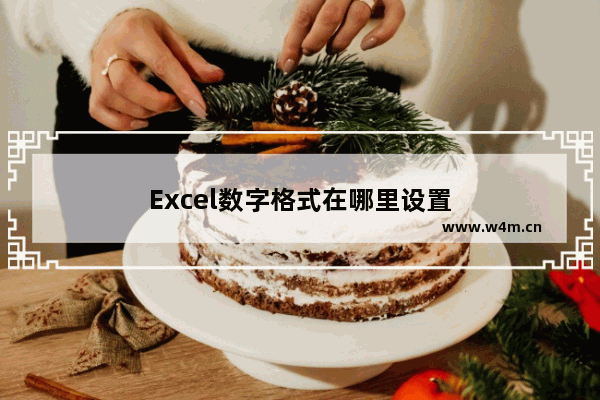 Excel数字格式在哪里设置