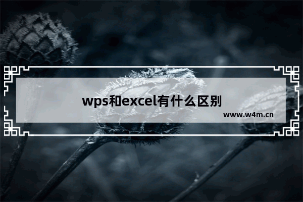 wps和excel有什么区别