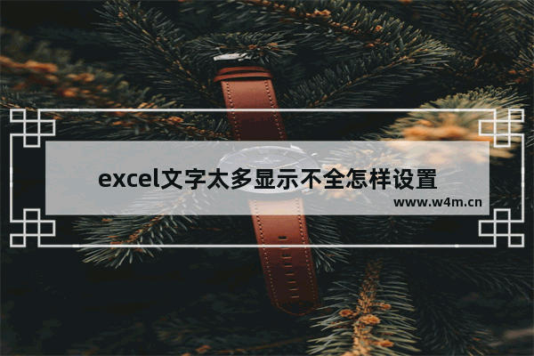 excel文字太多显示不全怎样设置