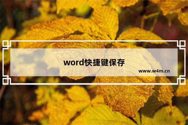 word快捷键保存