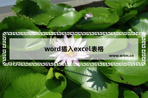 word插入excel表格