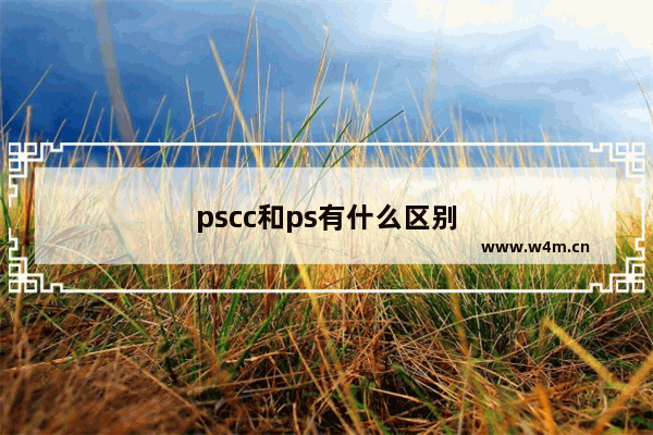 pscc和ps有什么区别