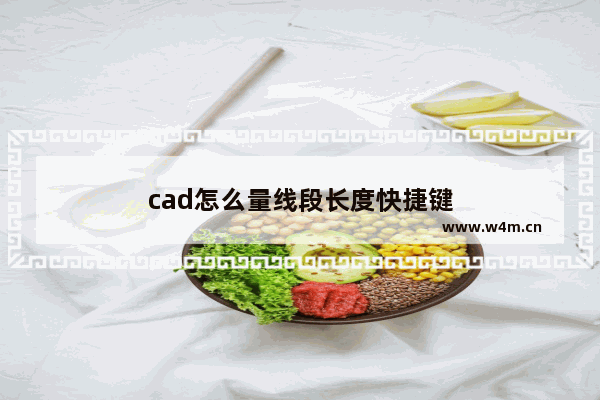 cad怎么量线段长度快捷键