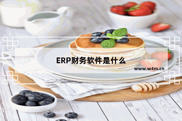 ERP财务软件是什么